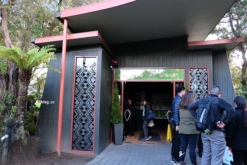 紐西蘭羅托魯瓦｜阿蒂普亞毛利文化園區 Te Puia．體驗紐西蘭毛利文化，品嚐地熱溫泉料理 @飛天璇的口袋