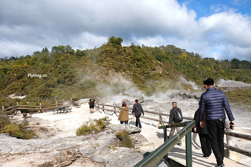 紐西蘭羅托魯瓦｜阿蒂普亞毛利文化園區 Te Puia．體驗紐西蘭毛利文化，品嚐地熱溫泉料理 @飛天璇的口袋
