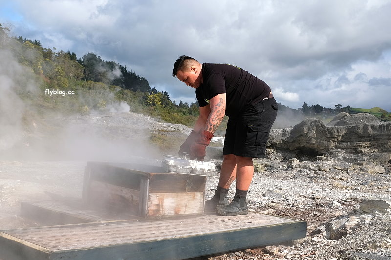 紐西蘭羅托魯瓦｜阿蒂普亞毛利文化園區 Te Puia．體驗紐西蘭毛利文化，品嚐地熱溫泉料理 @飛天璇的口袋