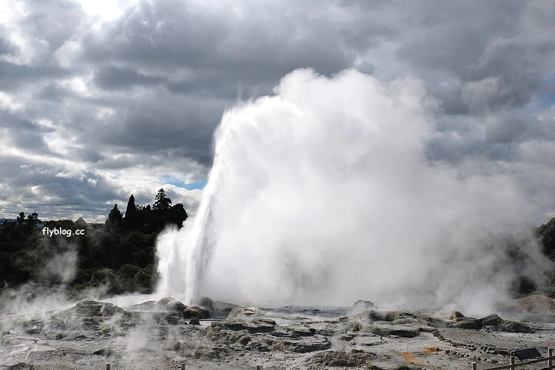 紐西蘭羅托魯瓦｜阿蒂普亞毛利文化園區 Te Puia．體驗紐西蘭毛利文化，品嚐地熱溫泉料理 @飛天璇的口袋