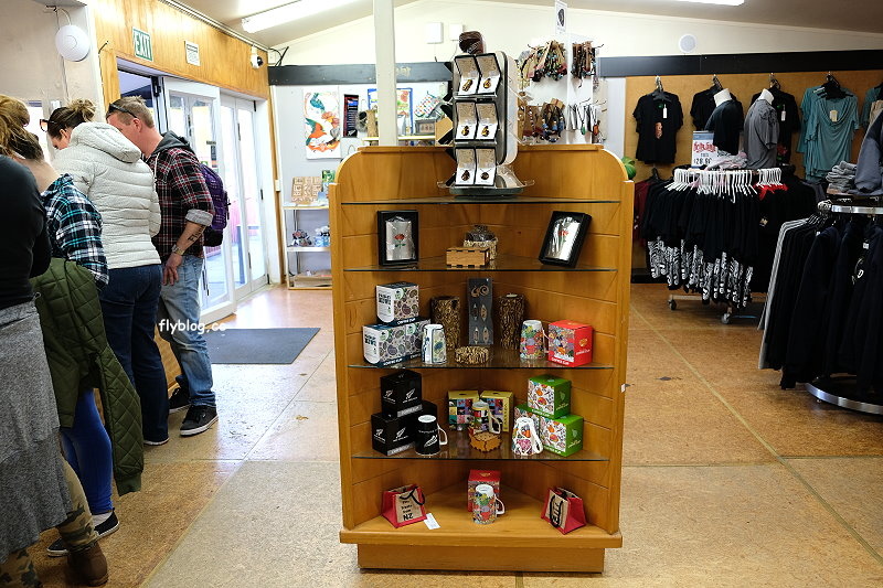 紐西蘭羅托魯瓦｜地獄之門 Hell Gate．體驗地熱溫泉，紐西蘭北島自然奇觀 @飛天璇的口袋