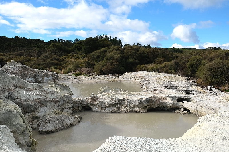 紐西蘭羅托魯瓦｜地獄之門 Hell Gate．體驗地熱溫泉，紐西蘭北島自然奇觀 @飛天璇的口袋