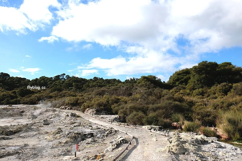 紐西蘭羅托魯瓦｜地獄之門 Hell Gate．體驗地熱溫泉，紐西蘭北島自然奇觀 @飛天璇的口袋