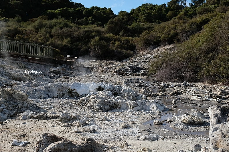 紐西蘭羅托魯瓦｜地獄之門 Hell Gate．體驗地熱溫泉，紐西蘭北島自然奇觀 @飛天璇的口袋