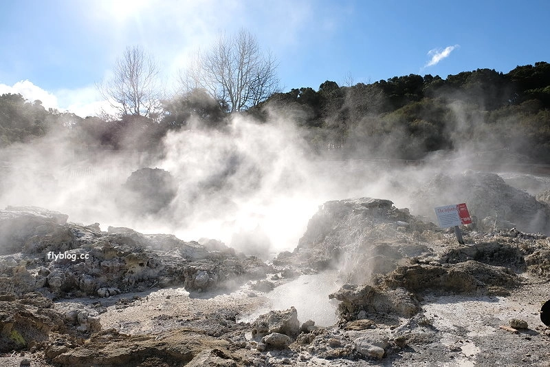 紐西蘭羅托魯瓦｜地獄之門 Hell Gate．體驗地熱溫泉，紐西蘭北島自然奇觀 @飛天璇的口袋