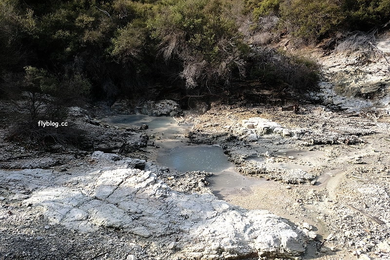 紐西蘭羅托魯瓦｜地獄之門 Hell Gate．體驗地熱溫泉，紐西蘭北島自然奇觀 @飛天璇的口袋