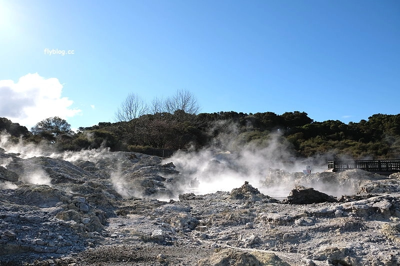 紐西蘭羅托魯瓦｜地獄之門 Hell Gate．體驗地熱溫泉，紐西蘭北島自然奇觀 @飛天璇的口袋