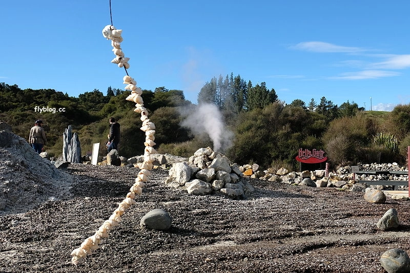 紐西蘭羅托魯瓦｜地獄之門 Hell Gate．體驗地熱溫泉，紐西蘭北島自然奇觀 @飛天璇的口袋
