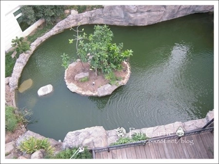 【台中下午茶】清新溫泉渡假飯店．新采餐廳SEASONS下午茶Buffet @飛天璇的口袋