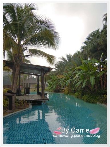 【台南飯店住宿】桂田中信酒店．Queena Plaza Hotel @飛天璇的口袋