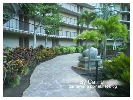 【夏威夷自由行】Day2 希爾頓唯克樂渡假村&rarr;黑沙灘&rarr;火山國家公園&rarr;希洛火山豆工廠 @飛天璇的口袋