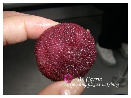 【香港景點推薦】昂坪360纜車v.s大嶼山大佛 @飛天璇的口袋