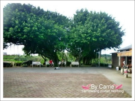 【北部旅遊景點】北海岸風情+石門洞+白沙灣+三芝旅遊服務中心+源興居(李登輝的出生地) @飛天璇的口袋