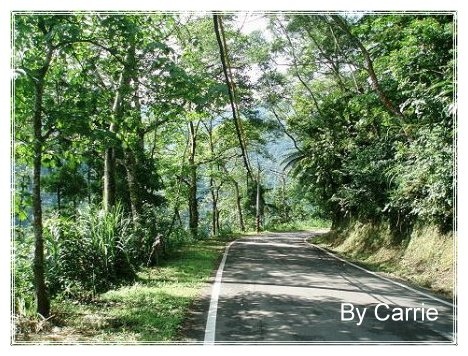 【苗栗旅遊】向天湖農場 @飛天璇的口袋