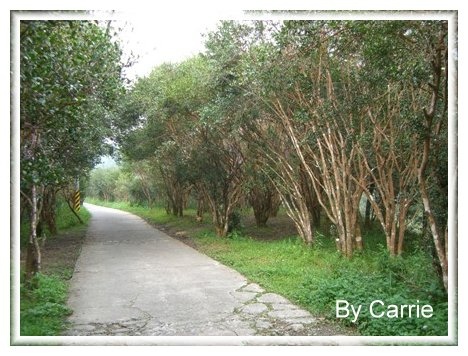 【苗栗旅遊】向天湖農場 @飛天璇的口袋