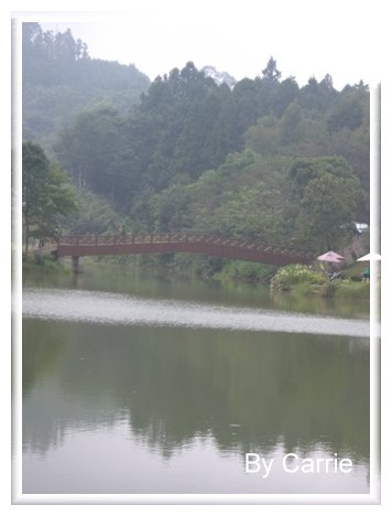 【苗栗旅遊】向天湖農場 @飛天璇的口袋