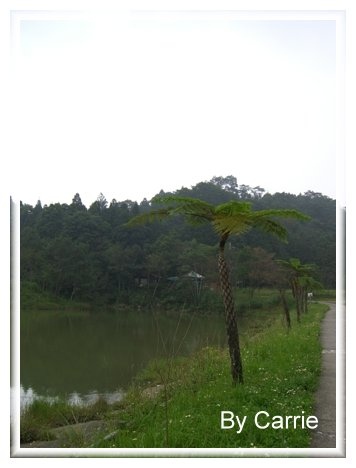 【苗栗旅遊】向天湖農場 @飛天璇的口袋