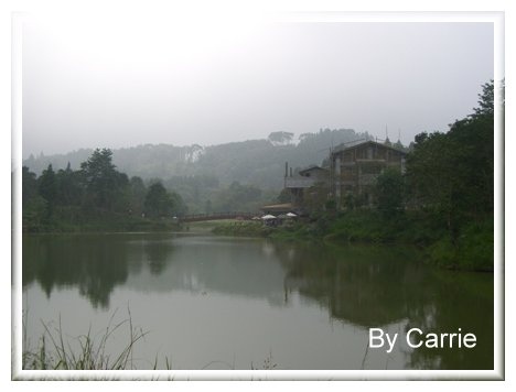 【苗栗旅遊】向天湖農場 @飛天璇的口袋