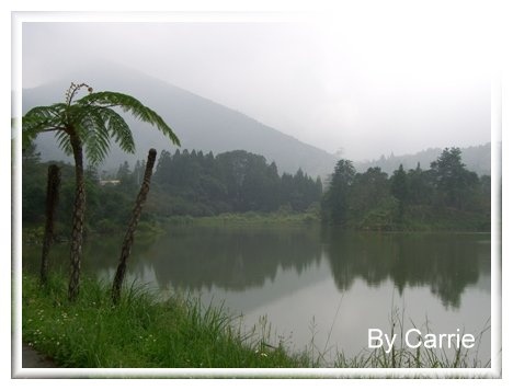 【苗栗旅遊】向天湖農場 @飛天璇的口袋
