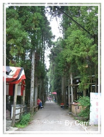 【苗栗旅遊】向天湖農場 @飛天璇的口袋