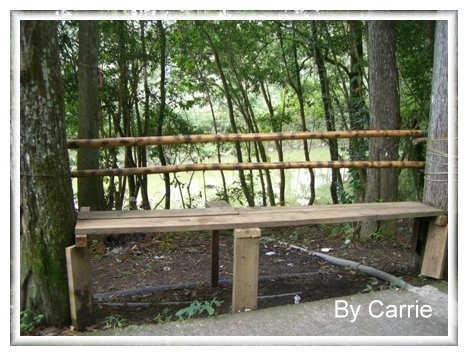 【苗栗旅遊】向天湖農場 @飛天璇的口袋