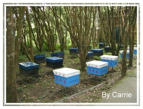 【苗栗旅遊】向天湖農場 @飛天璇的口袋