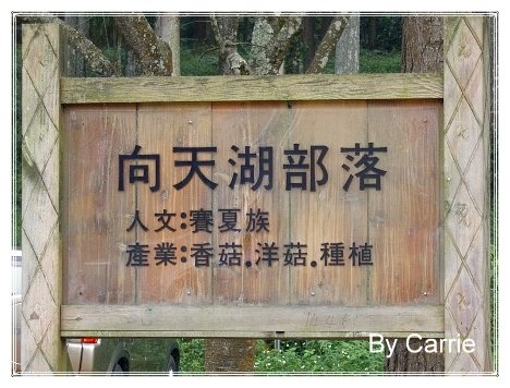 【苗栗旅遊】向天湖農場 @飛天璇的口袋