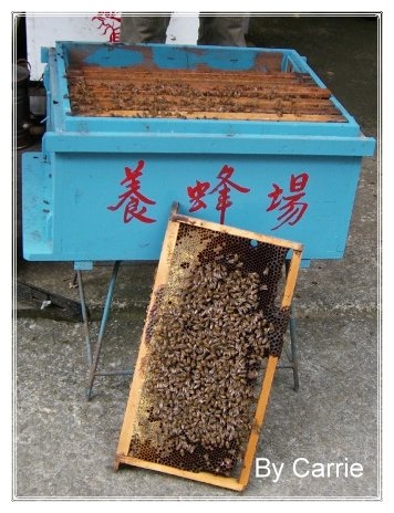 【苗栗旅遊】向天湖農場 @飛天璇的口袋