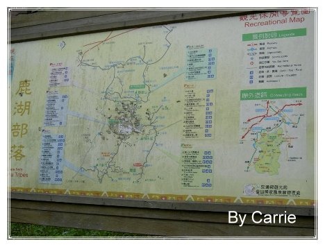 【苗栗旅遊】向天湖農場 @飛天璇的口袋