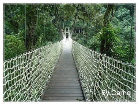 【苗栗旅遊】神仙谷 @飛天璇的口袋