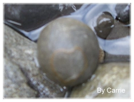 【苗栗旅遊】神仙谷 @飛天璇的口袋