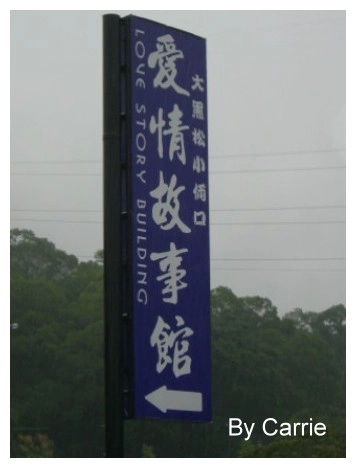 【桃園旅遊】大黑松小倆口．愛情故事館 @飛天璇的口袋