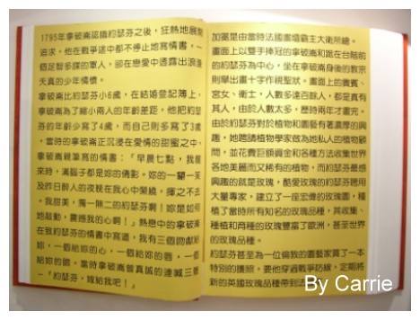 【桃園旅遊】大黑松小倆口．愛情故事館 @飛天璇的口袋