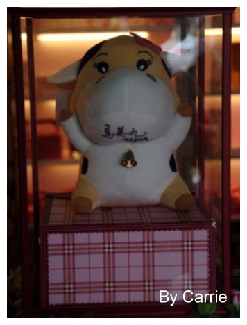 【桃園旅遊】大黑松小倆口．愛情故事館 @飛天璇的口袋