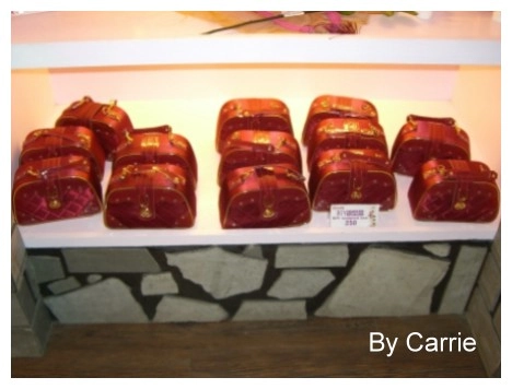 【桃園旅遊】大黑松小倆口．愛情故事館 @飛天璇的口袋