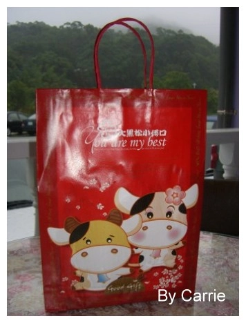 【桃園旅遊】大黑松小倆口．愛情故事館 @飛天璇的口袋