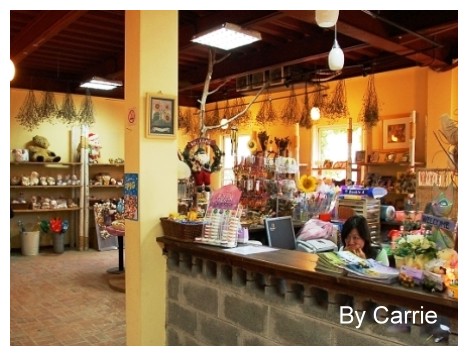 【桃園旅遊】富田花園農場 @飛天璇的口袋