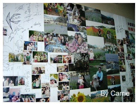 【桃園旅遊】富田花園農場 @飛天璇的口袋