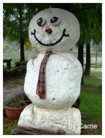 【桃園旅遊】富田花園農場 @飛天璇的口袋