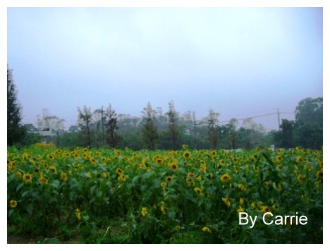 【桃園旅遊】富田花園農場 @飛天璇的口袋