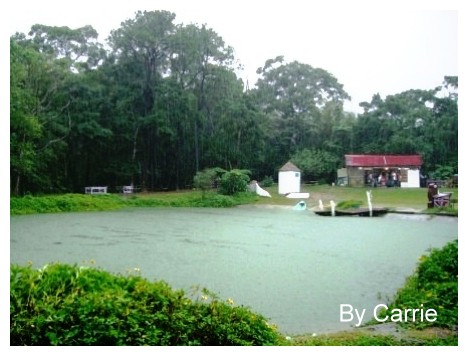【桃園旅遊】富田花園農場 @飛天璇的口袋