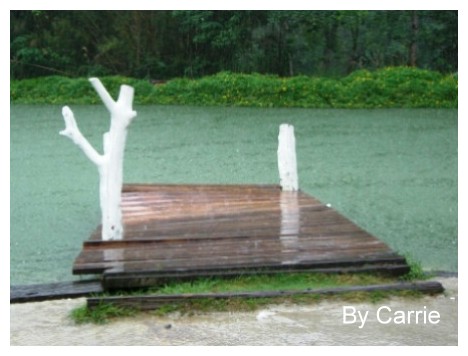 【桃園旅遊】富田花園農場 @飛天璇的口袋