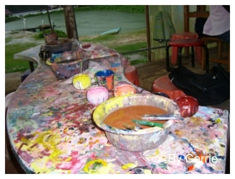 【桃園旅遊】富田花園農場 @飛天璇的口袋