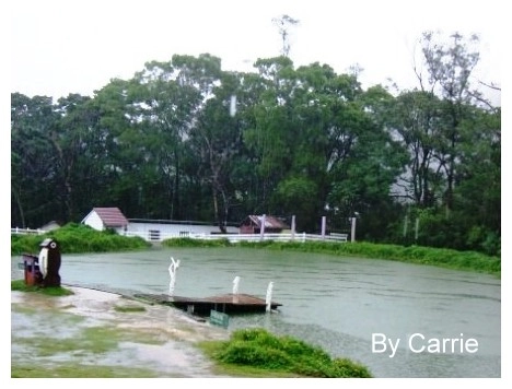 【桃園旅遊】富田花園農場 @飛天璇的口袋
