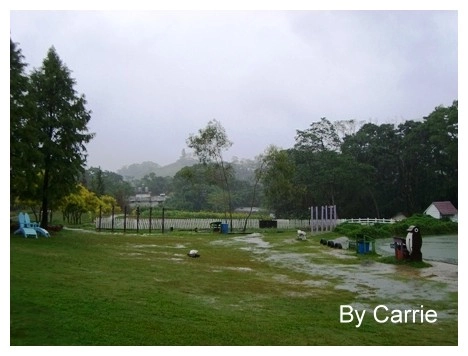 【桃園旅遊】富田花園農場 @飛天璇的口袋