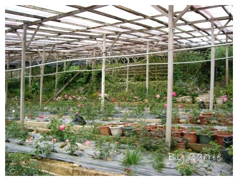 【馬來西亞】沙巴之旅 – Day1 @飛天璇的口袋