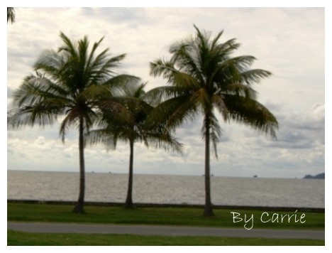 【馬來西亞】沙巴之旅 – Day2 @飛天璇的口袋