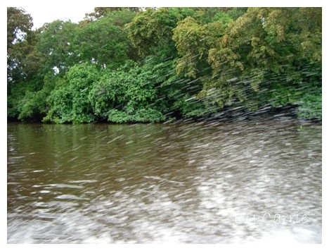 【馬來西亞】沙巴之旅 – Day3 @飛天璇的口袋