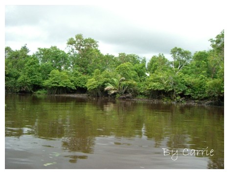 【馬來西亞】沙巴之旅 – Day3 @飛天璇的口袋