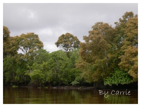 【馬來西亞】沙巴之旅 – Day3 @飛天璇的口袋